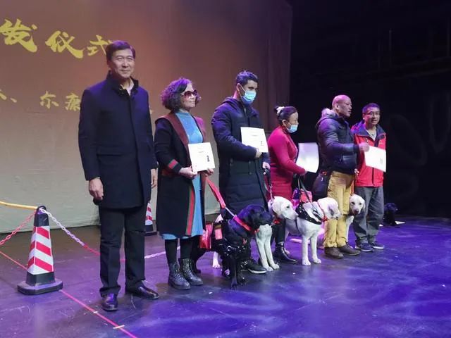 经历训练、上岗与退休后，等待导盲犬的会是什么