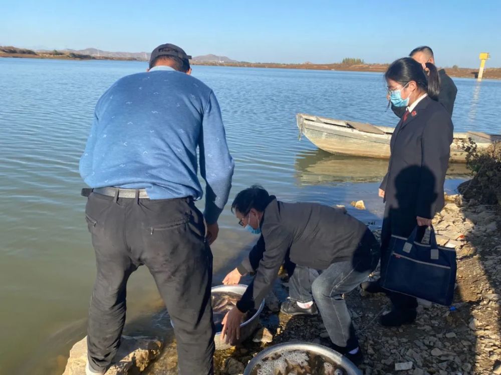 守护生态环境！徐水区检察院开展公益诉讼增殖放流活动